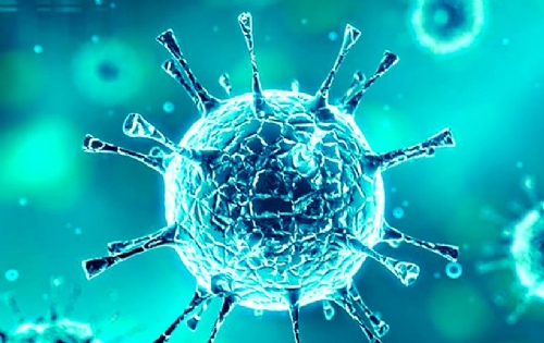 ESTUDO BRASILEIRO MOSTROU REDUÇÃO DE MORTES PELA COVID-19 COM O USO DO TOFACITINIBE ESTUDO BRASILEIRO MOSTROU REDUÇÃO DE MORTES PELA COVID-19 COM O USO DO TOFACITINIBE